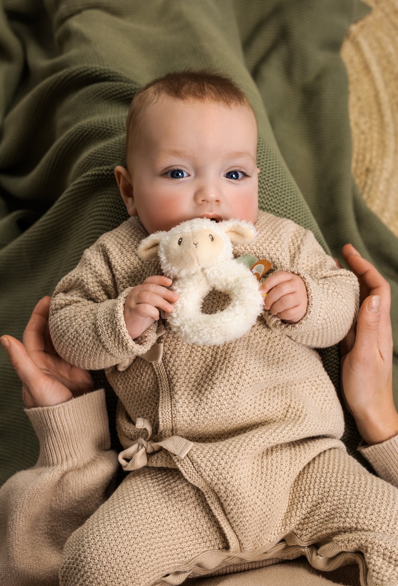 Little Dutch Barškutis avytė "Little Farm" - Uogų kopos