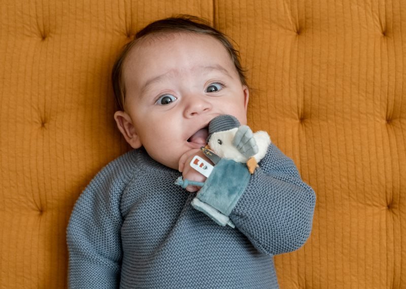 Little Dutch Barškutis/apyrankė "Jūreivio įlanka" - Uogų kopos