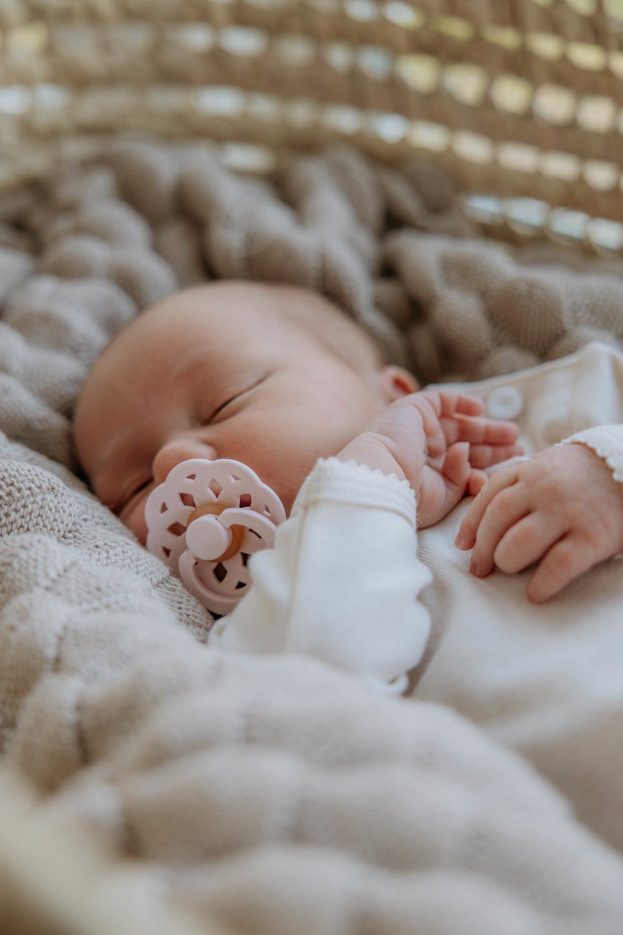 BIBS Boheme apvalūs čiulptukai 2vnt. - Ivory/Blossom - Uogų kopos