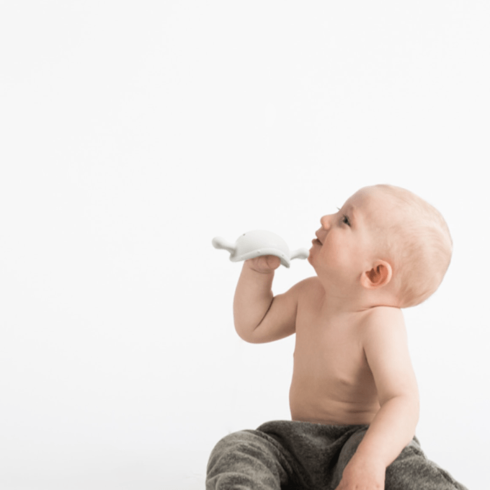 HEORSHE Explorer silikoninis kramtukas - Balta - Uogų kopos