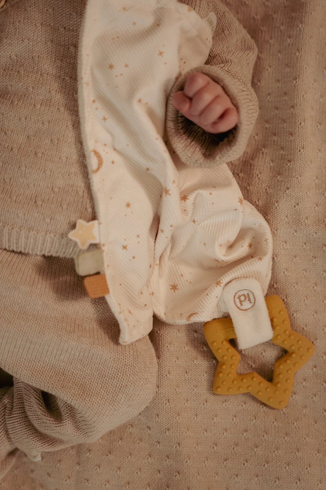 Little Dutch Migdukas su kramtuku „Newborn Naturals" - Uogų kopos