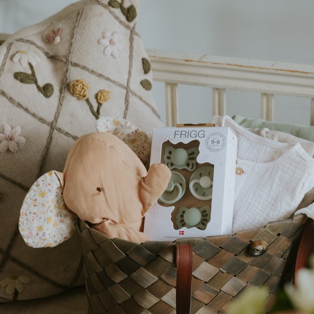 FRIGG Pirmieji kūdikio čiulptukai 4vnt. - Moonlight Sailing - Sage - Uogų kopos