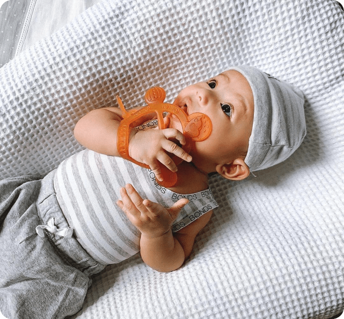 HEORSHE Silikoninis Kramtukas – Apyrankė - Uogų kopos