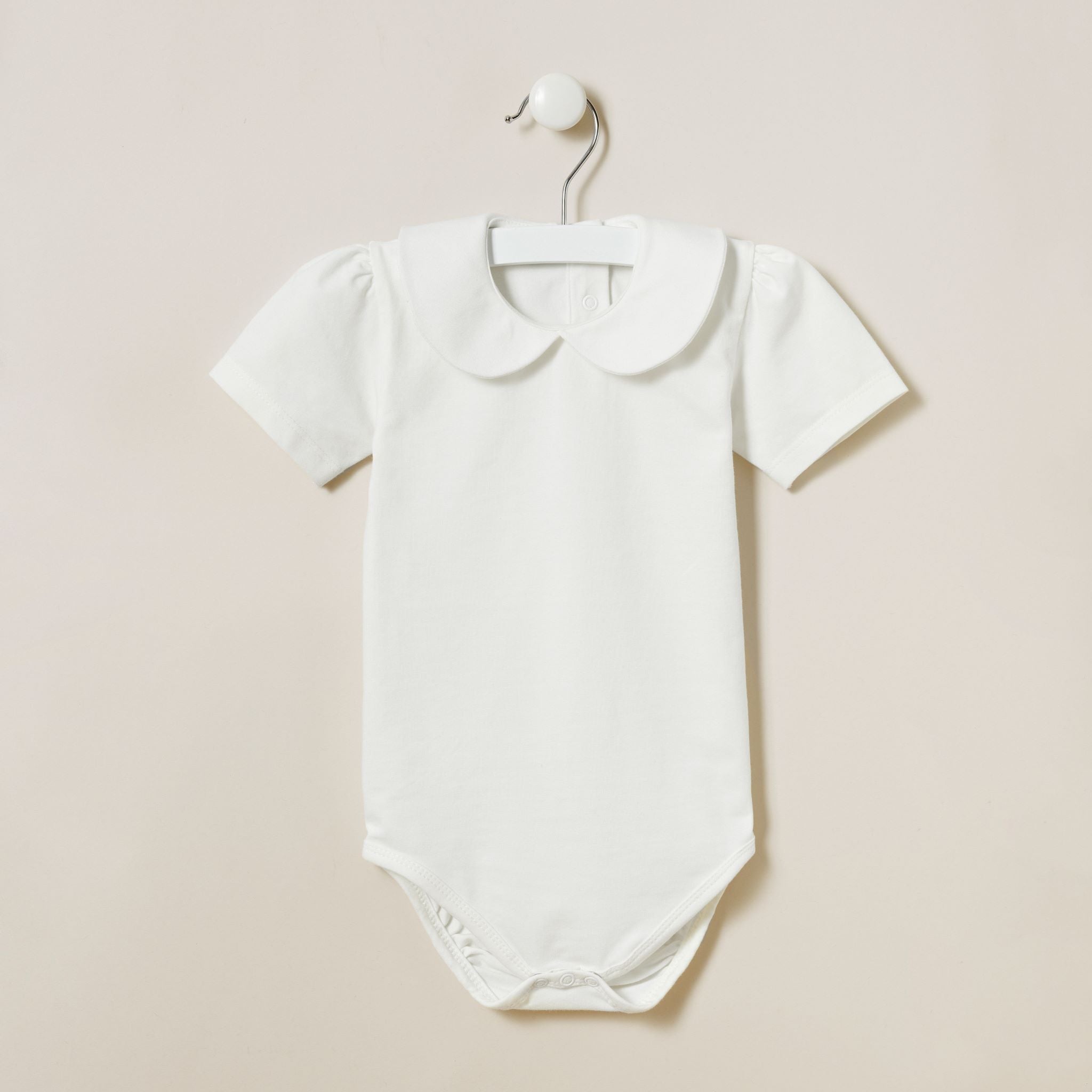 AC Atelier Šliaužtinukas su Chloé apykakle, trumpomis rankovėmis - Uogų kopos