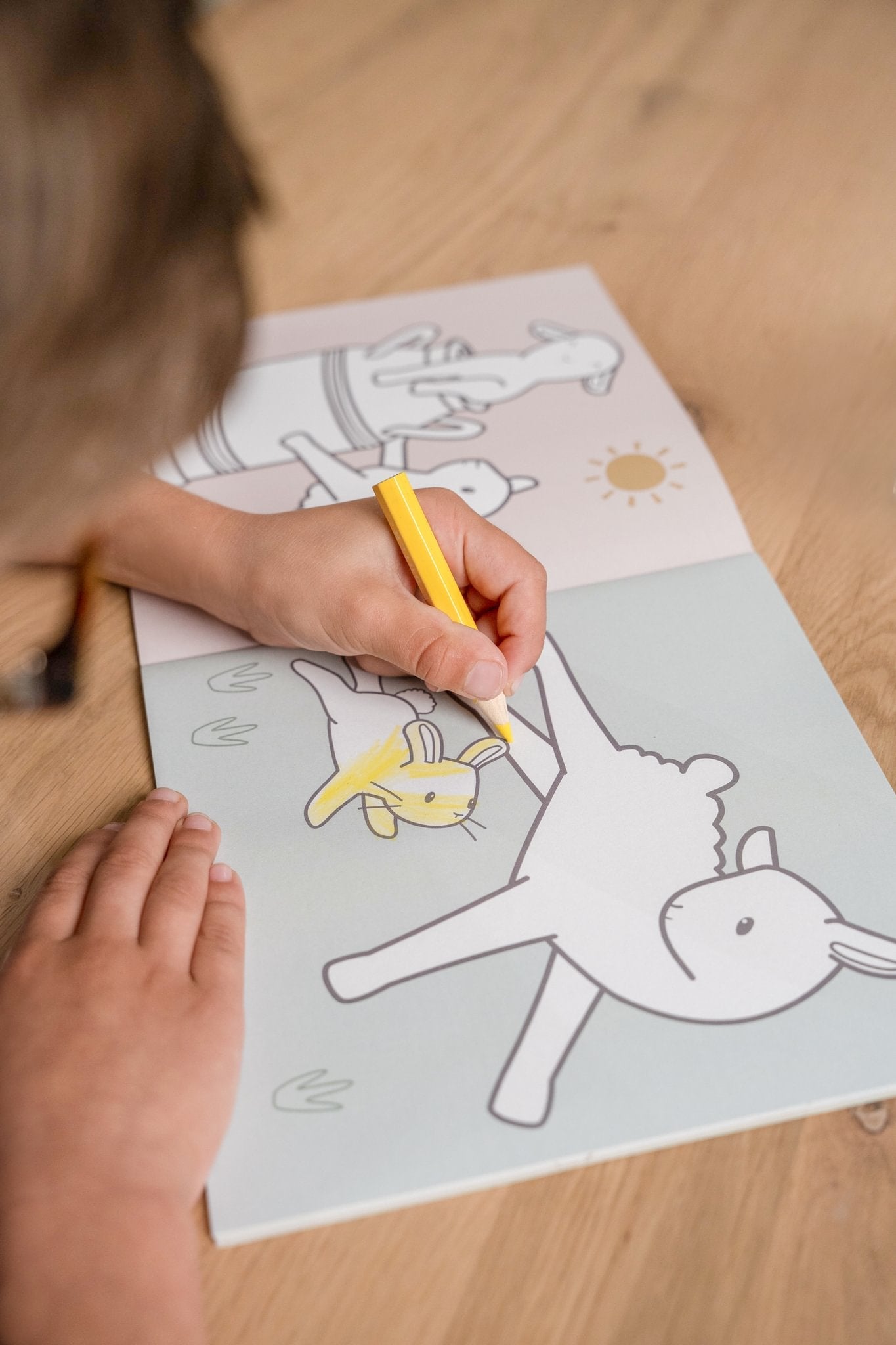 Little Dutch Spalvinimo knygelė „Little Farm" - Uogų kopos