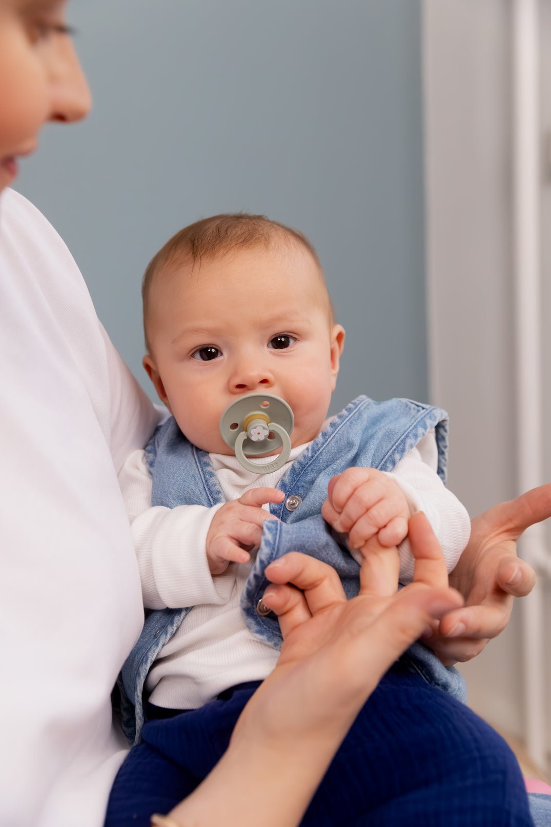 BIBS Studio apvalūs čiulptukai 2vnt. - Pin Sage Mix - Uogų kopos