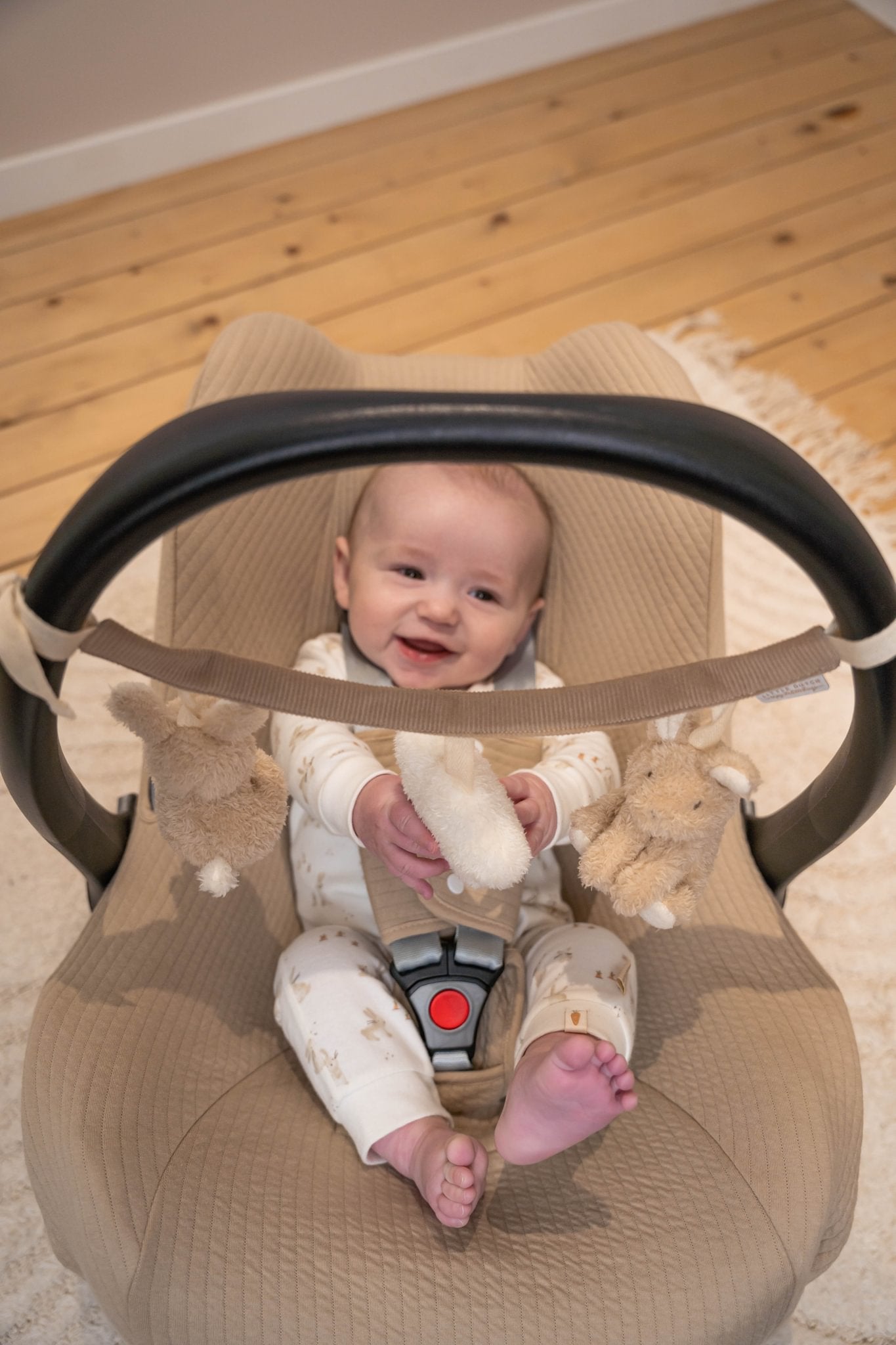 Little Dutch Vežimėlio ir automobilinės kėdutės žaislas "Baby Bunny" - Uogų kopos