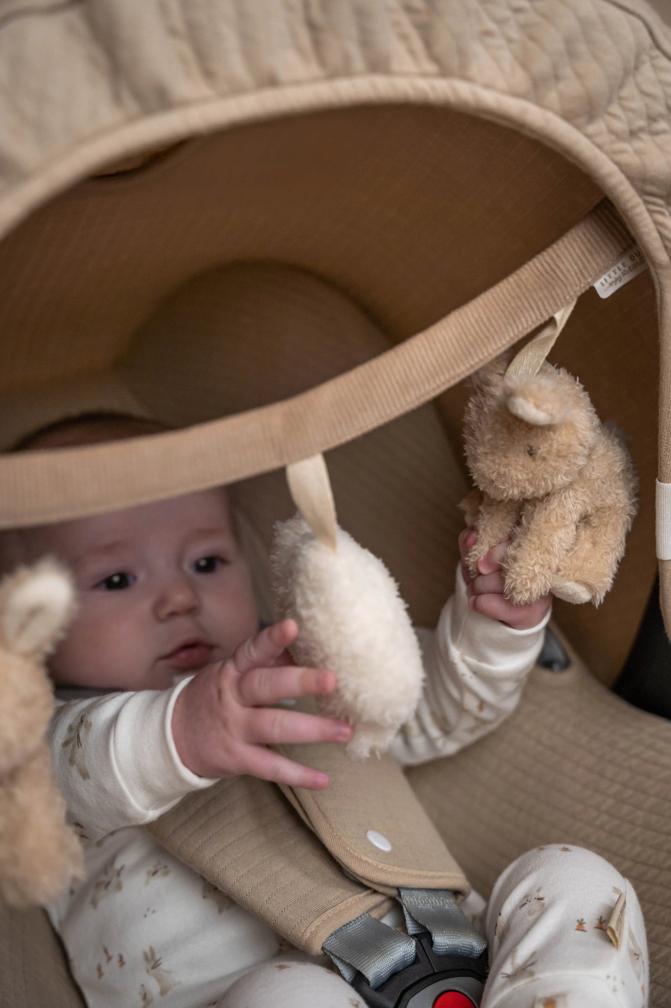 Little Dutch Vežimėlio ir automobilinės kėdutės žaislas "Baby Bunny" - Uogų kopos