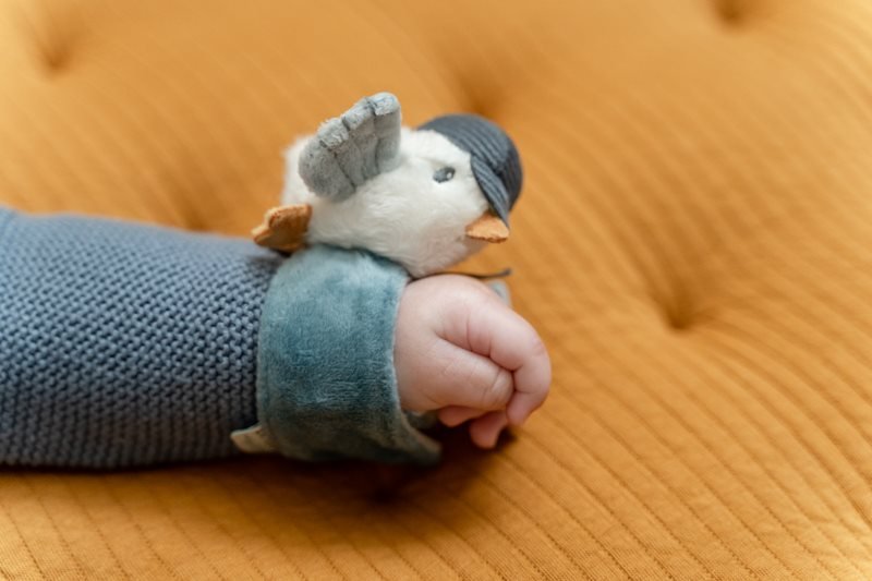 Little Dutch Barškutis/apyrankė "Jūreivio įlanka" - Uogų kopos