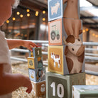Little Dutch Kubo formos dėliojimo kaladėlės „Little Farm" - Uogų kopos