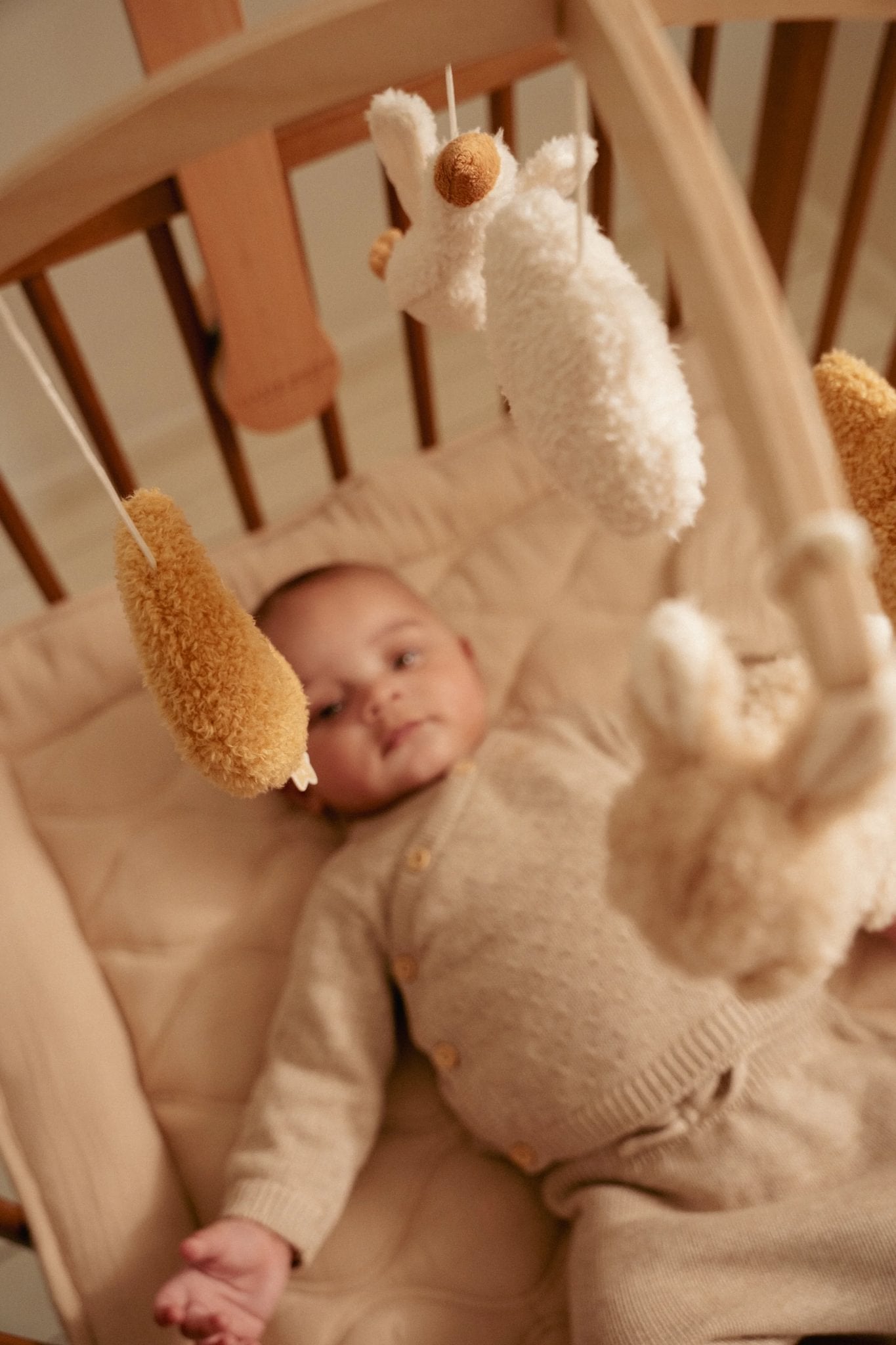 Little Dutch Muzikinis zuikutis „Baby Bunny“ - Uogų kopos